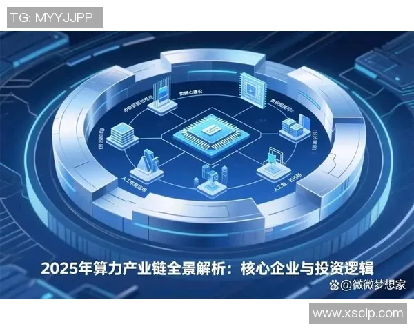 北京网球队战术分析与提升策略探讨全景解析